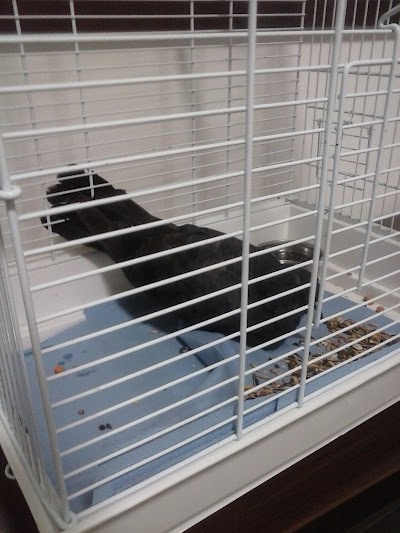Photos of Veterinary Clinic "TOTO"