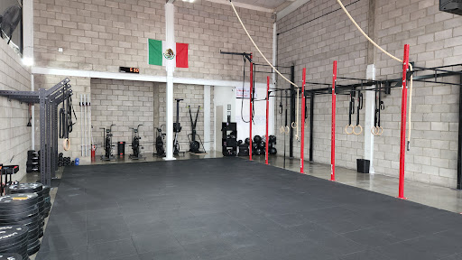 Tria Training