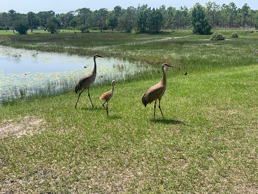 Playground at Malabar Park - Thumbnail