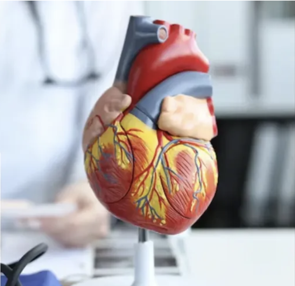 Premier Cardiovascular Institute Inc