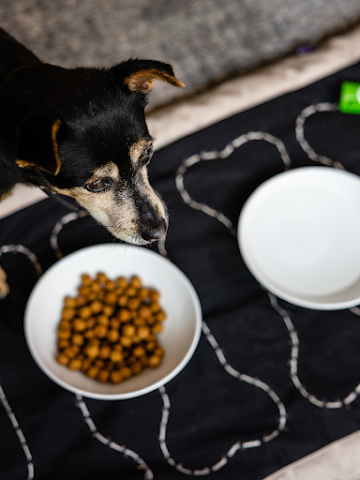 Le Domaine de la Tortinière by null