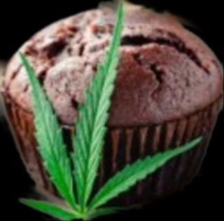KAZI GROWTH LLC - Thumbnail