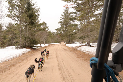 Husky Haven Kennels - Thumbnail