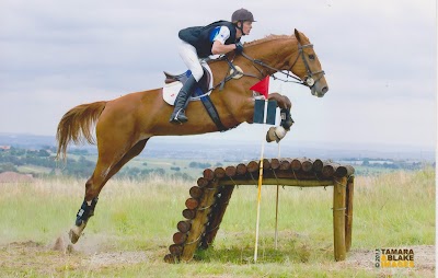 Photos of Rivervale Stud