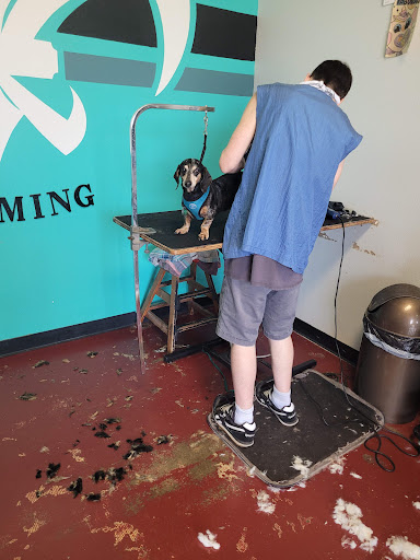 Lan Yap Grooming Salon - Thumbnail