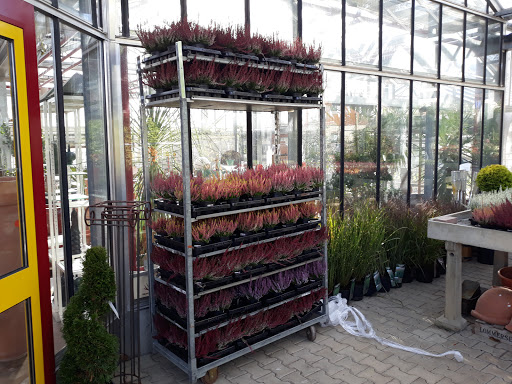 Gartenlotsen GmbH - Thumbnail