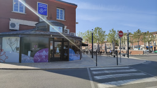 Office de Tourisme du Muretain Agglo - Thumbnail