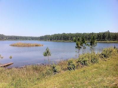 Photos of Geneva State Forest