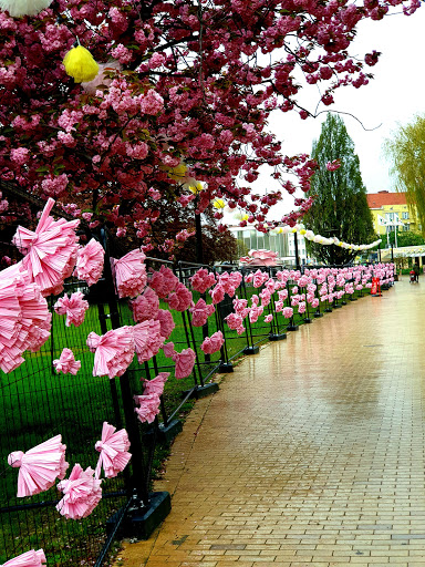 Malmö Folkets Park Gallery - Sweden