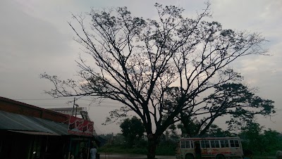 Photos of Turag CNG Filling Station