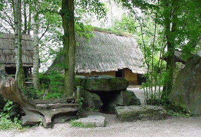 Photos of Arch&eacute;osite d'Aubechies