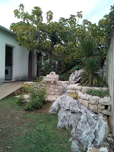 Photos of Camping Bacinska Jezera