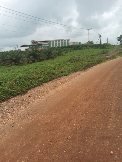 Photos of Ghana Oil Palm Development Company