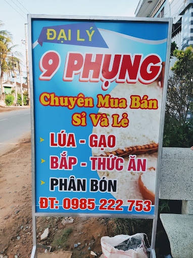 Đại Lý Phân 9 Phụng, 204 Nguyễn Thị Định, Giồng Trôm, Giồng Trôm, Bến Tre