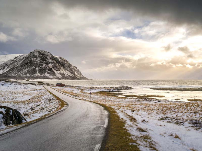 Octwopus – Kunsthandel, Galerie & Atelier photo