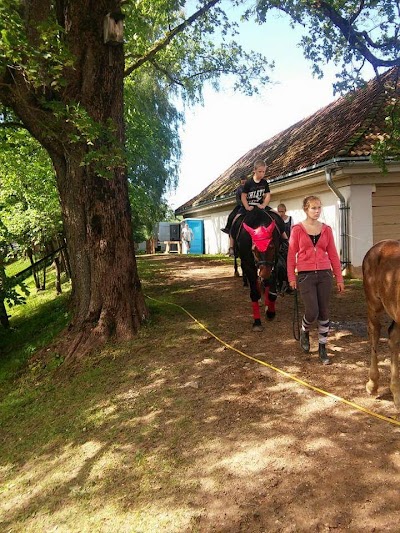 Photos of Limbažu muzejs, viduslaiku pilsdrupas un skatu tornis