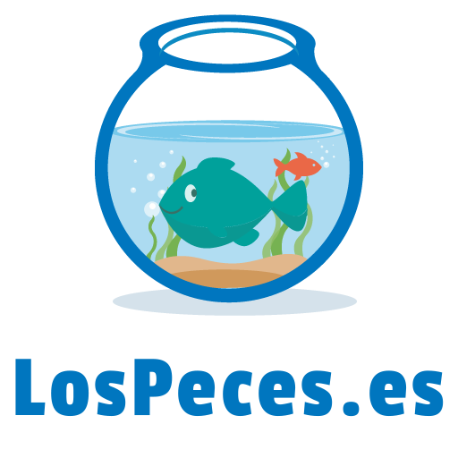 LosPeces.es - Visual