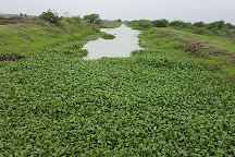 Kanewal lake, Anand, India