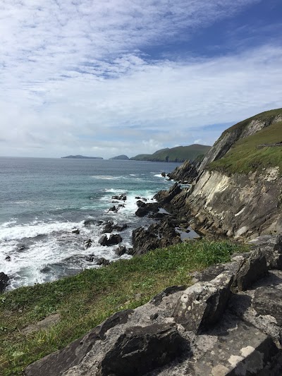 Photos of Taxi Tour Ireland