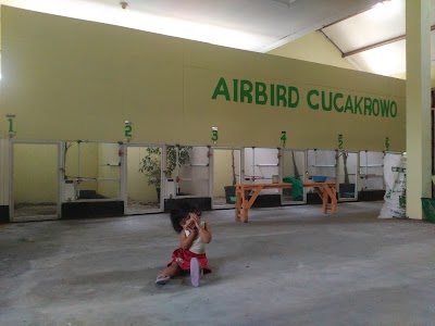 Photos of Air Bird