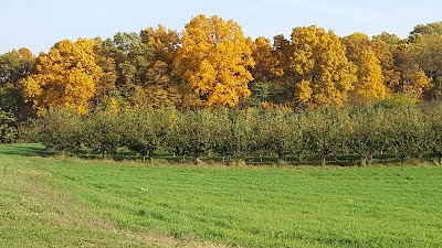 Photos of Contessa Wine Cellars
