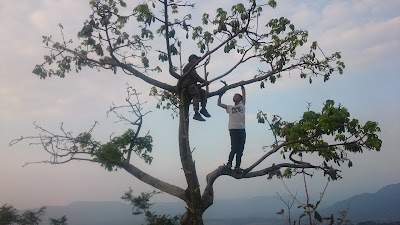 Photos of PASIR MALENCER