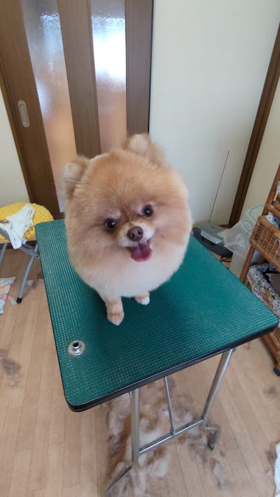ワンちゃんの美容室せれな