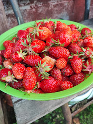 Photo n°15 de Au fournil brayon Maison Bernardin à Saint-Germer-de-Fly (Boulangerie)
