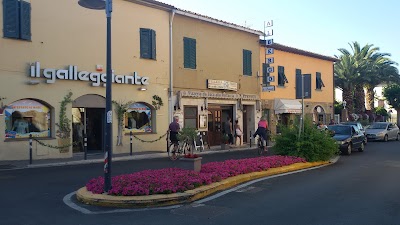 lodging