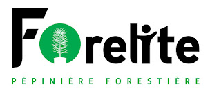 Photo n°7 de FORELITE SA Pépinière Arue à Arue (Pépinière)