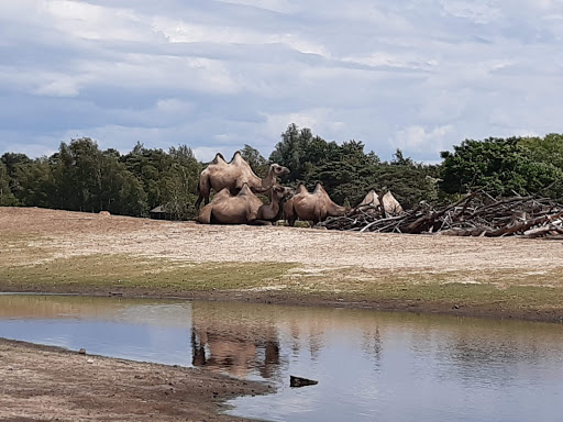 Hilvarenbeek, Safaripark - Thumbnail