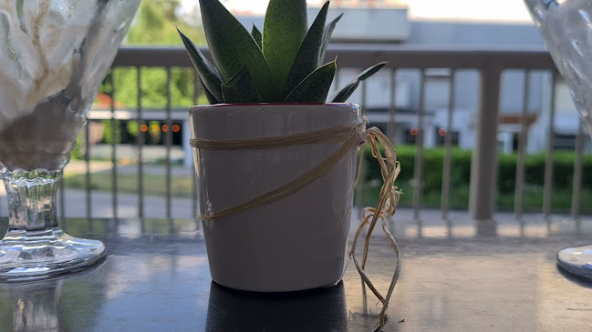 Recenzije Slastičarnica Grabar - Gajnice u Zagreb - Pekarnica