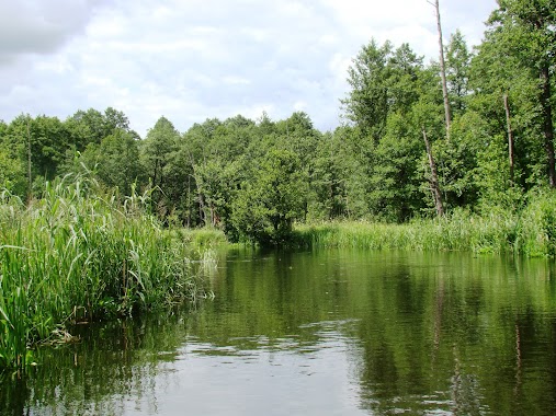 Augustów, Author: Adam Koc