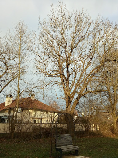 Bauhof Dorfen - Thumbnail
