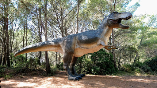 Musée des Dinosaures - Thumbnail