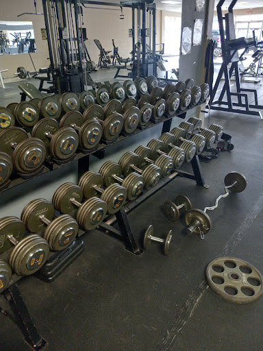 Iron Gym Gallery - United States