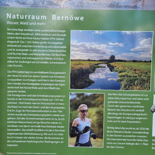 Informationen - Visual