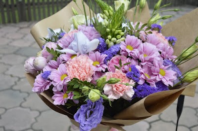 Photos of Greenland Flowers 2