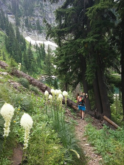 Lost Moose Campground