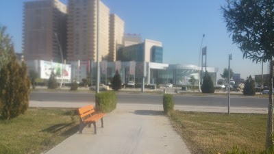 Photos of SAS-Toyota Iraq