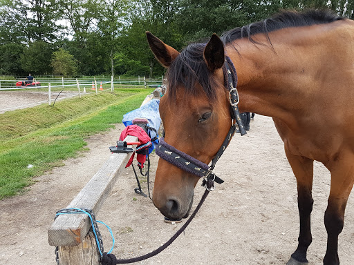 Equestrian Center Du Vieux Château - Thumbnail