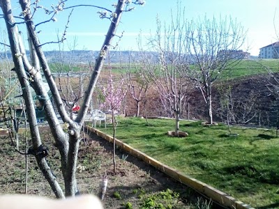 Photos of Cuma &Ccedil;etin &Ccedil;iftliği