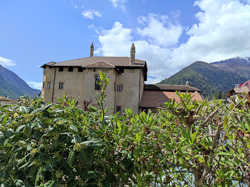 Palazzo della Torraccia - Thumbnail