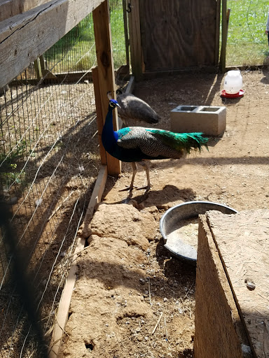 Riverbend Farm - Thumbnail