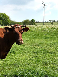 Photo n°24 de Le chant des Armoricaines à Saint-Connan (Marché alimentaire)