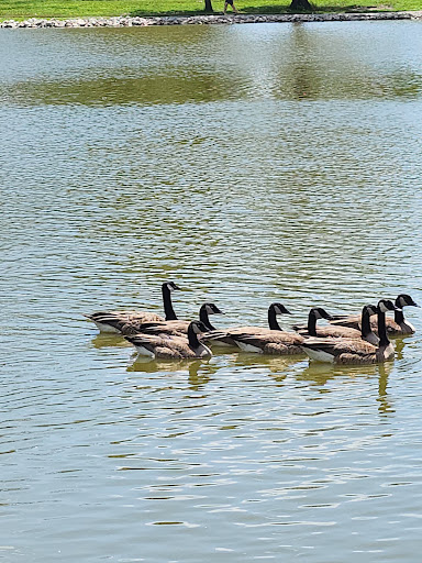 Arnold City Park Gallery - United States
