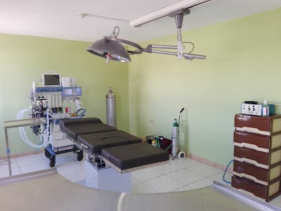 Photos of PORTAL DELICIA 1