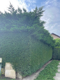 Photo n°19 de Espace vert paysagiste à Artigues-près-Bordeaux (Jardinier)