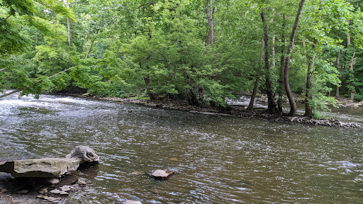 Babb Run Bird and Wildlife Sanctuary - Thumbnail
