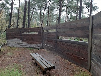 Wildkijkscherm "Groene schuurtje"